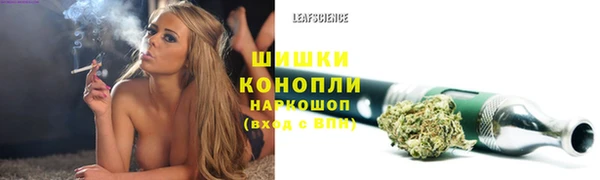 гидропоника Заречный